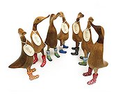 Dcuk - Floral Welly Ducklets